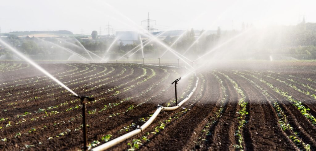 automatic irrigation