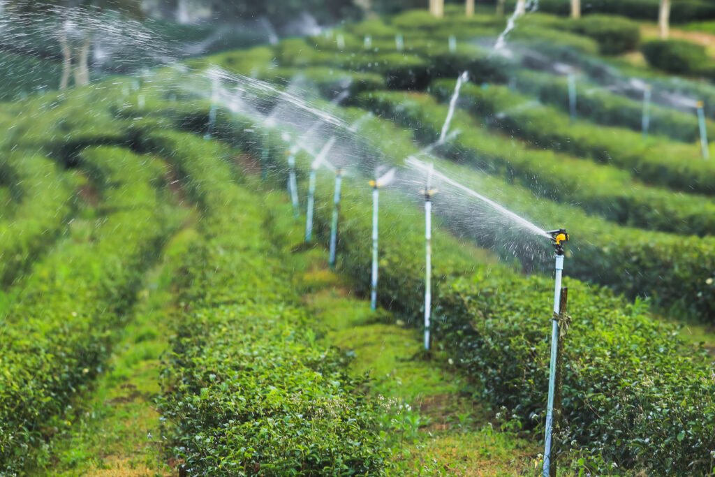 automatic irrigation